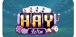 haywin